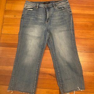 Judy Blue Wide Leg Crop size 15/32